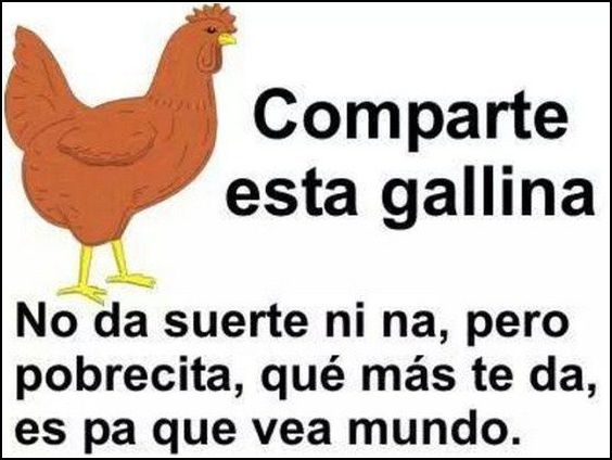 cadena de WhatsApp