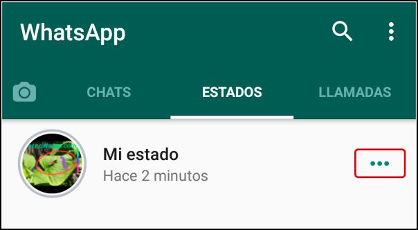 seleccionar estado de WhatsApp