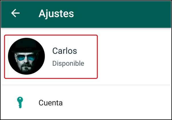 ver perfil WhatsApp