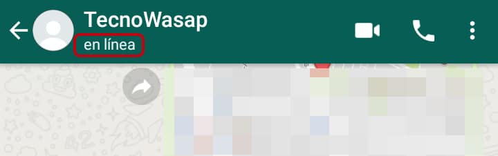 WhatsApp, qué significa en línea