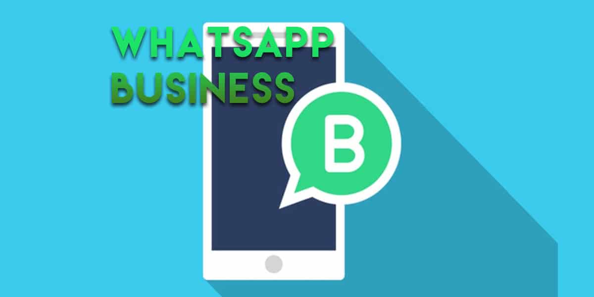 download business whatsapp for pc