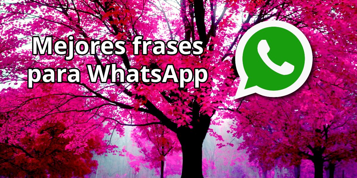 Cuáles son las mejores frases de WhatsApp para compartir Cuáles son las mejores frases de WhatsApp para compartir