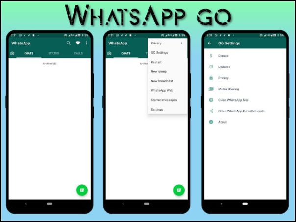 apariencia de WhatsApp GO