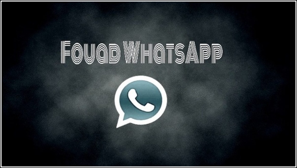 fouad whatsapp